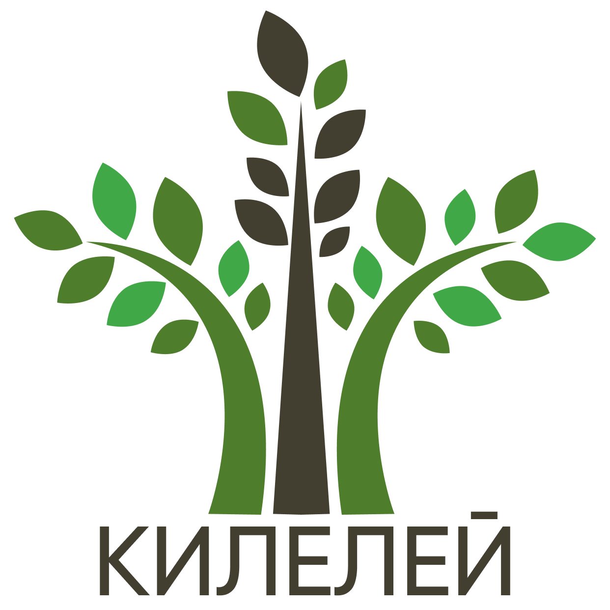Логотип поселка ИЖС Килелей